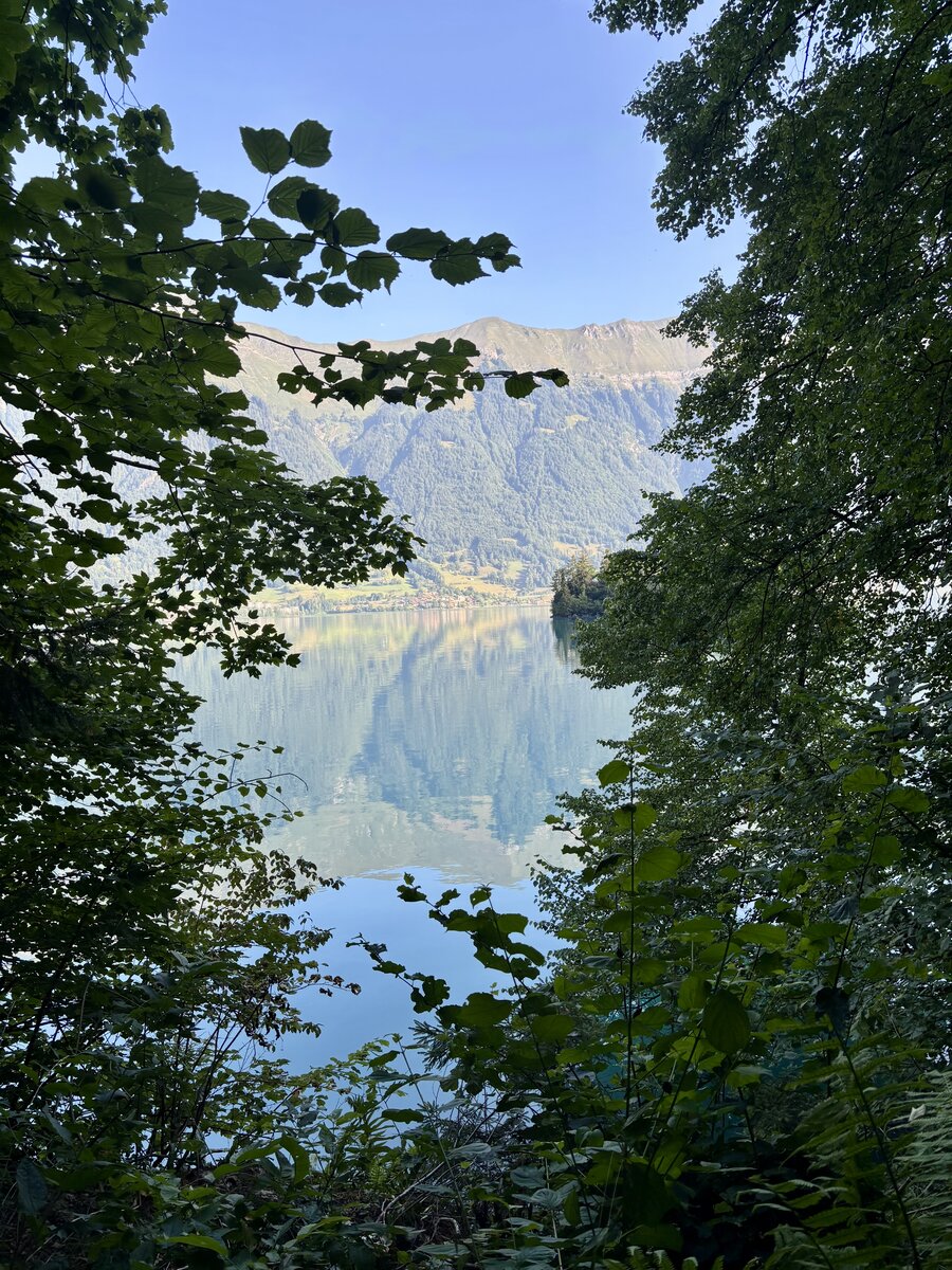 Bank am Brienzersee